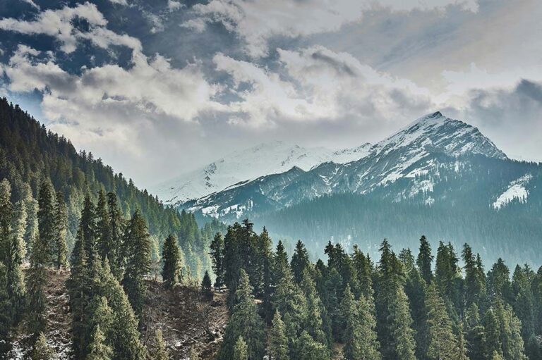 Shimla: Here’s A Complete Travel Guide
