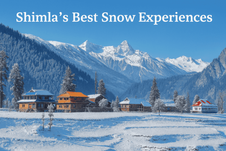 Shimla’s Best Snow Experiences