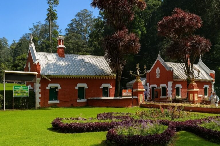 Ooty’s Botanical Gardens: A Nature Lover’s Guide